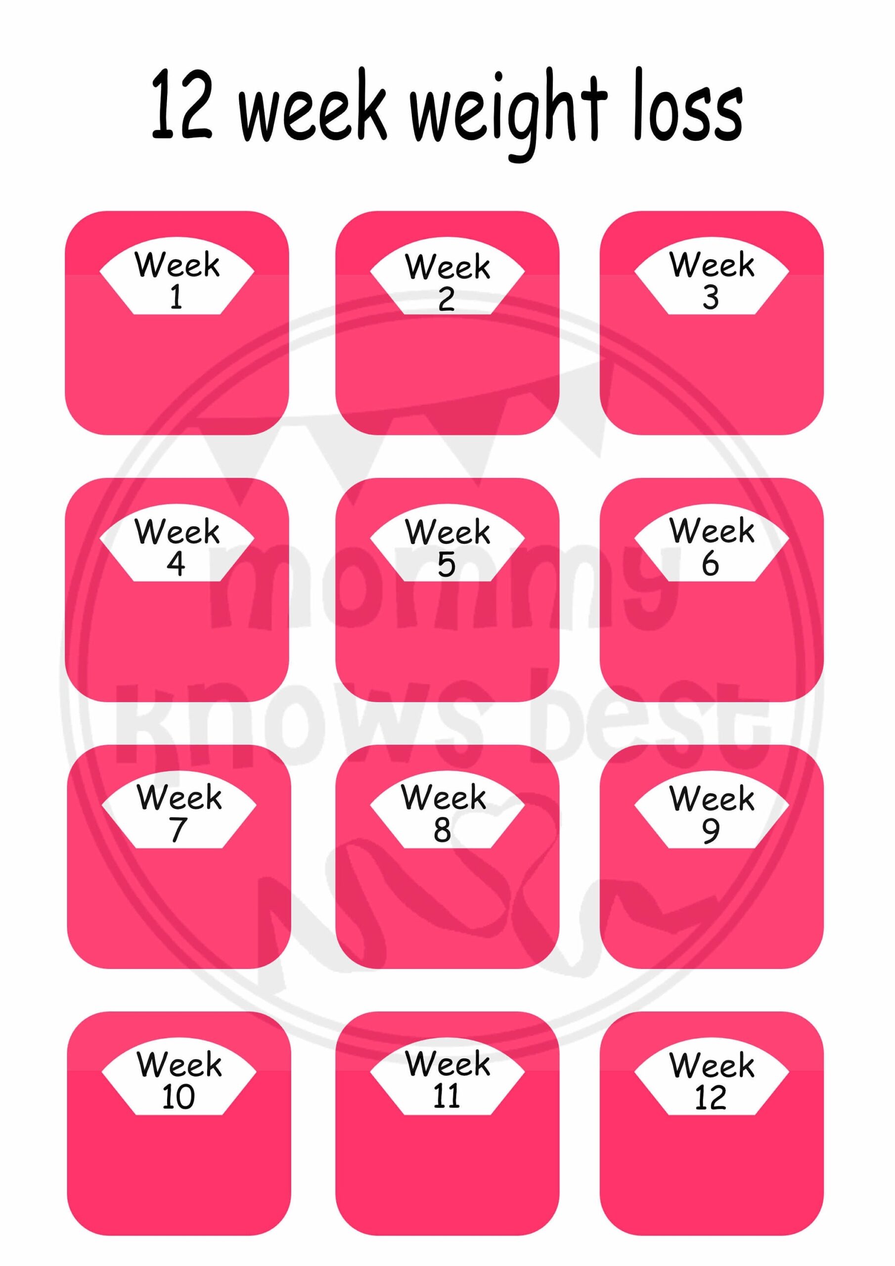 12 Week Weight Loss Scales Tracker Chart Slimming Log Planner Weekly Plan Weight Watcher Logger PNG PDF 12 Week Challenge Digital Download Etsy
