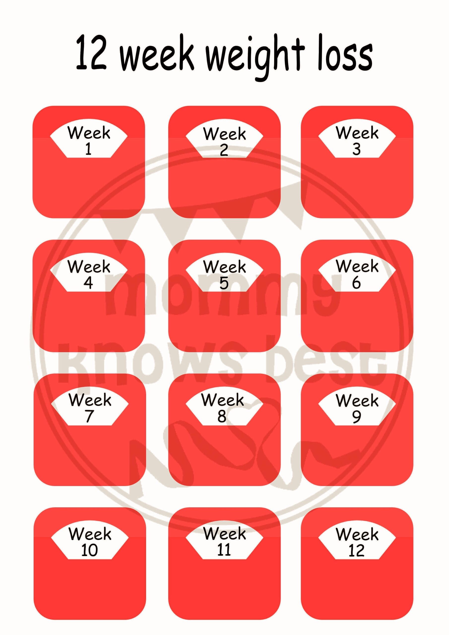 12 Week Weight Loss Scales Tracker Chart Slimming Log Planner Weekly Plan Weight Watcher Logger PNG PDF 12 Week Challenge Digital Download Etsy