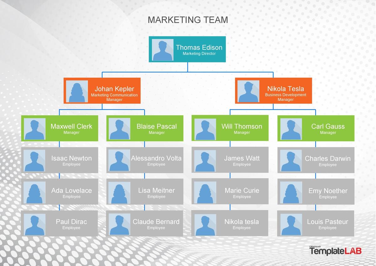 41 Organizational Chart Templates Word Excel PowerPoint PSD