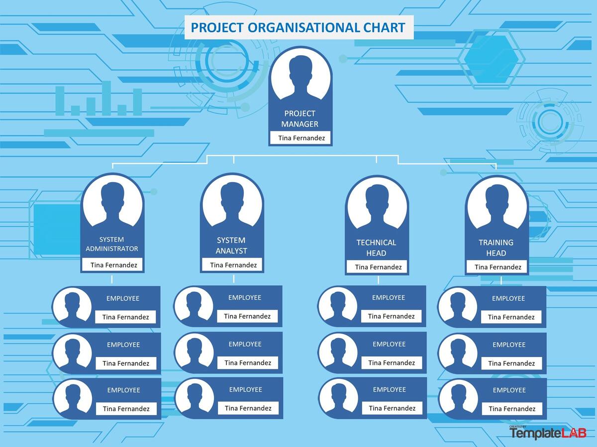 41 Organizational Chart Templates Word Excel PowerPoint PSD