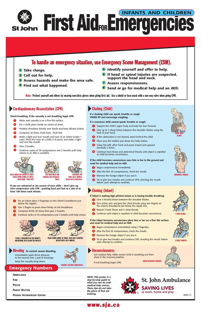 Adult Medical Emergency Quick Reference Chart Laminated Adult First Aid Quick Reference Guide Laminated Medical Emergency Chart By Permacharts Laminated Medical Guide