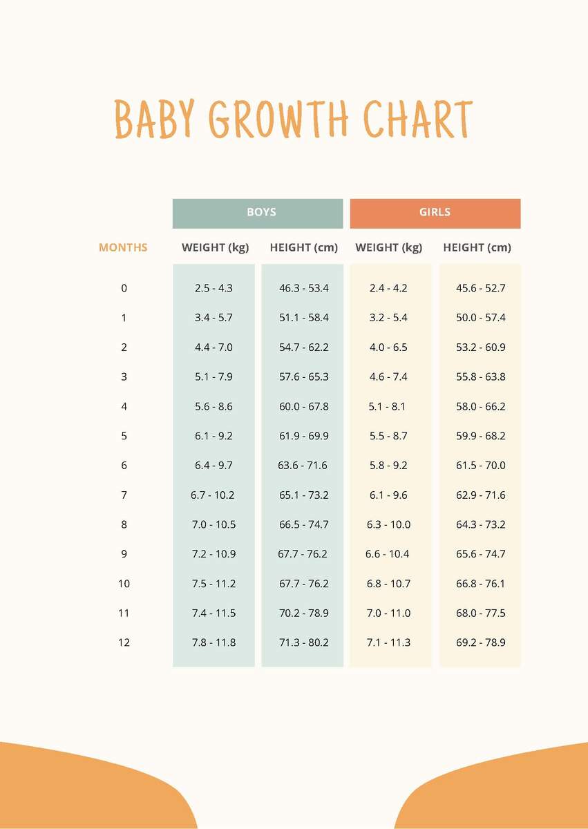 Baby Growth Chart In PDF Download Template