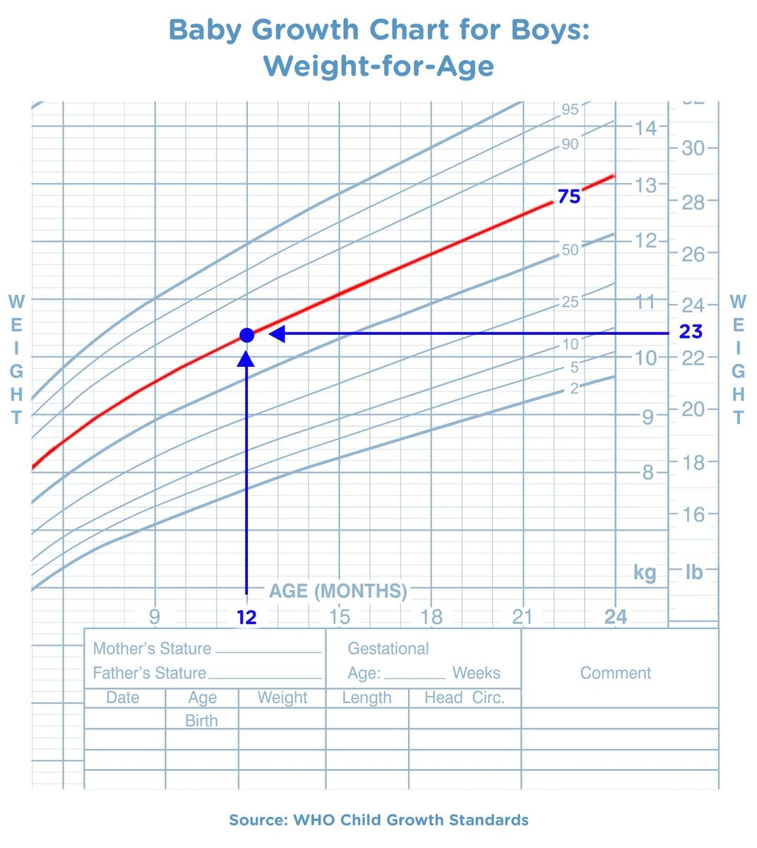 Baby Growth Chart Track Their Milestones Pampers UK