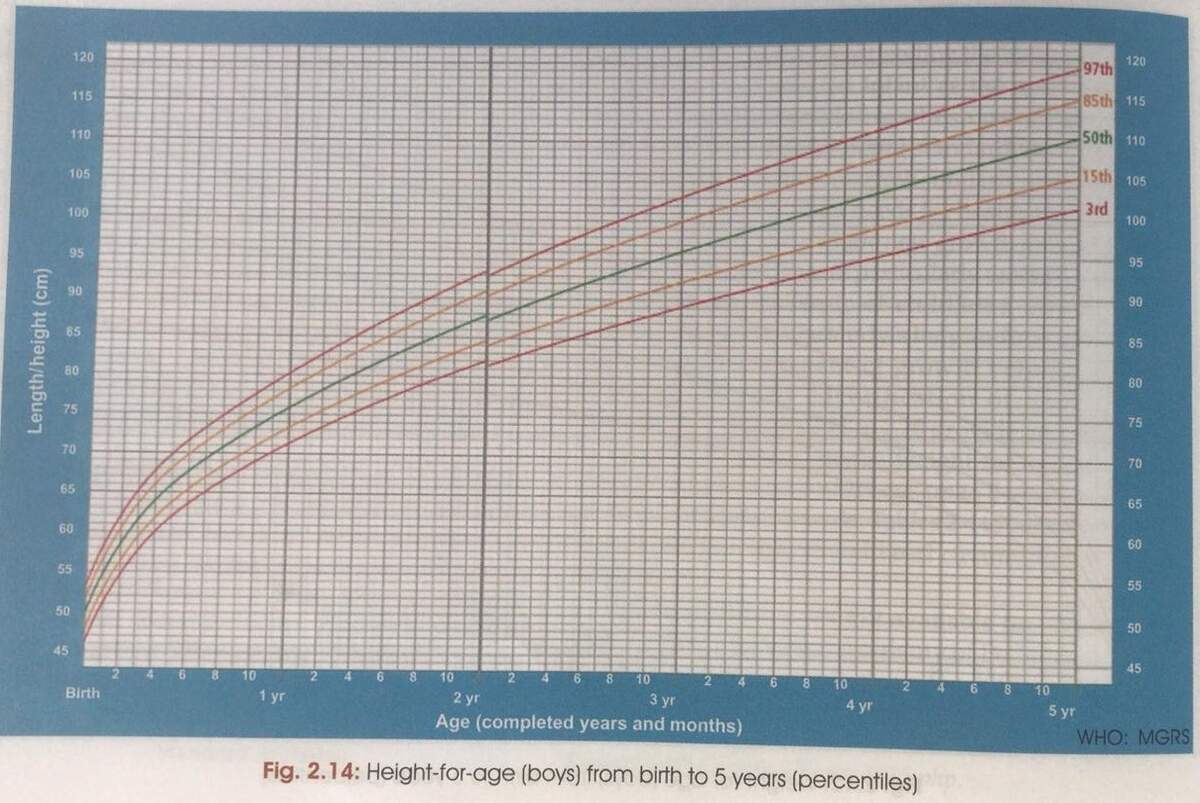 Baby Weight And Height Charts Train Your Tot