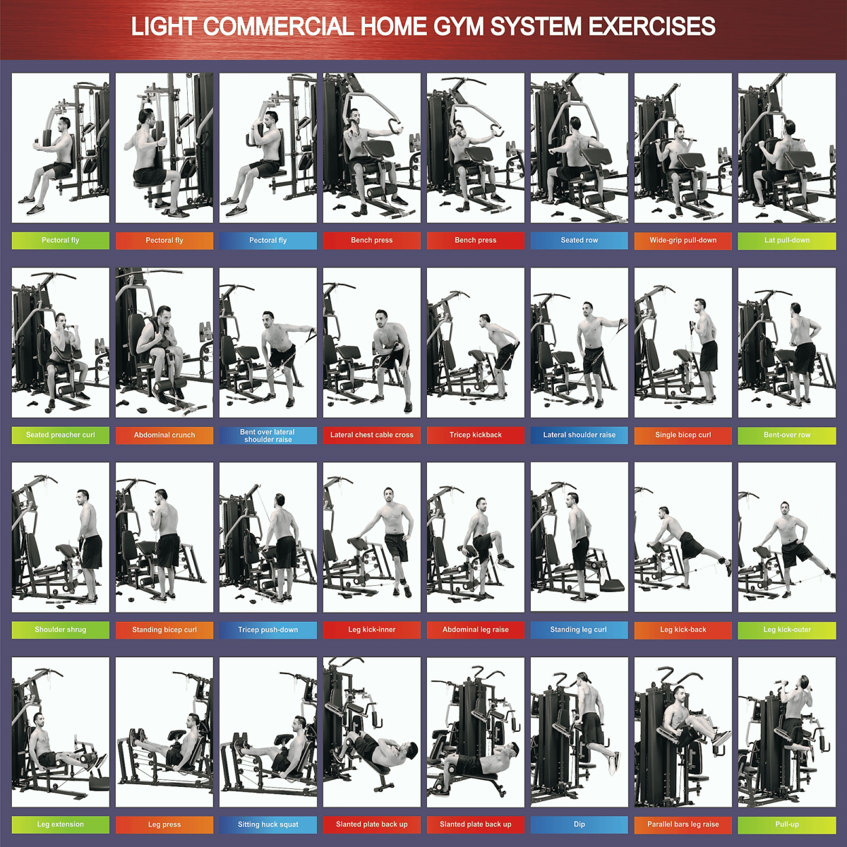 Band Workout Free Multi Gym Exercises Chart Pdf Chart Pdf Weider 2980 Workout Plan Bench Multi