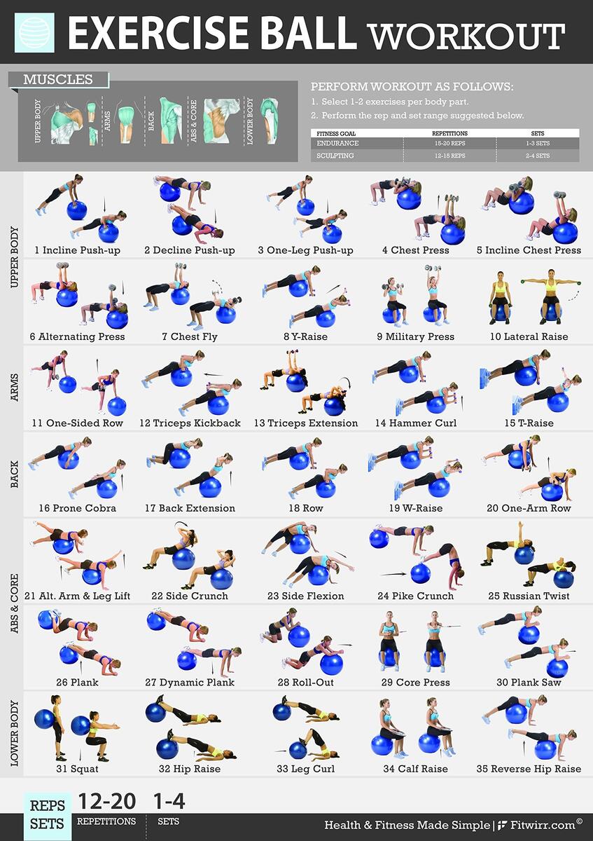 Birthing Ball Stability Ball Workout Poster Balance Ball 18x27 Angola Exercise Ball