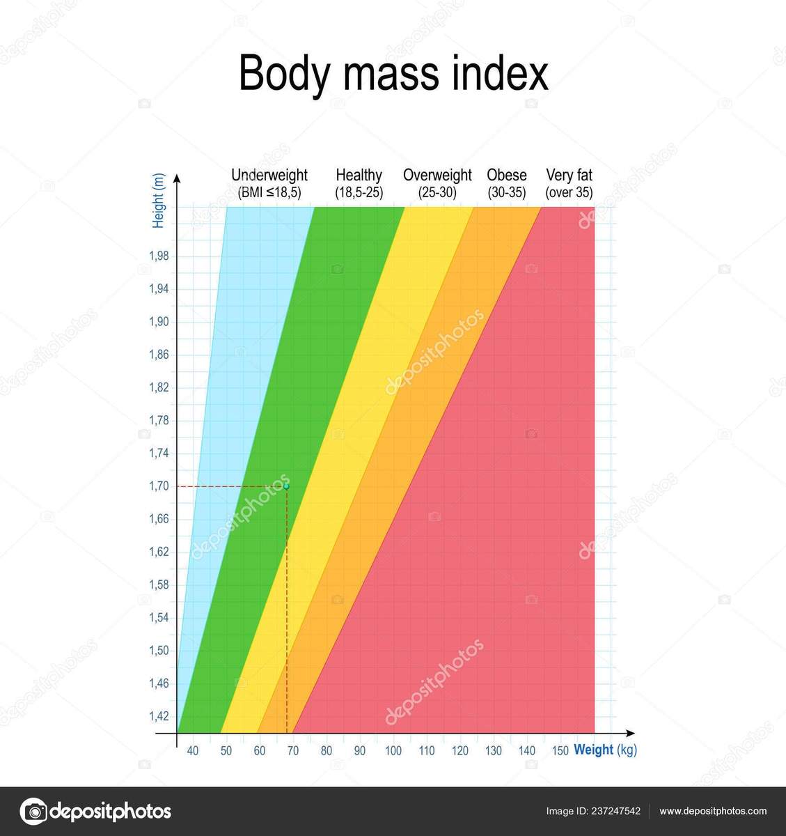 Body Mass Index Bmi Weight Height Chart Women Men Weight Stock Vector By Edesignua 237247542