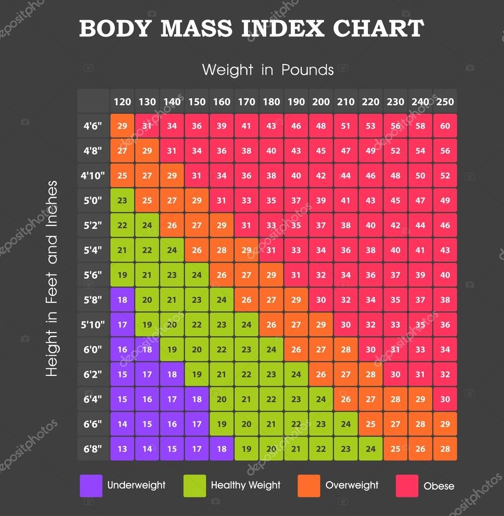 Body Mass Index Chart Height An Weight Infographic Stock Vector By Vectorscore 110574758