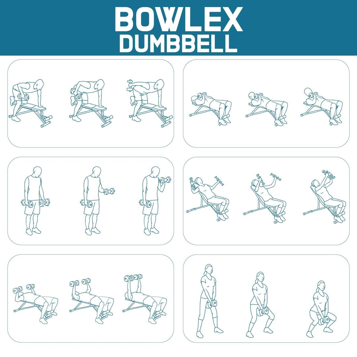 Bowflex Dumbbell Workout Chart Bowflex Training Program Bowflex Pr1000 Workout Plan Bowflex Dumbbell Leg Workout