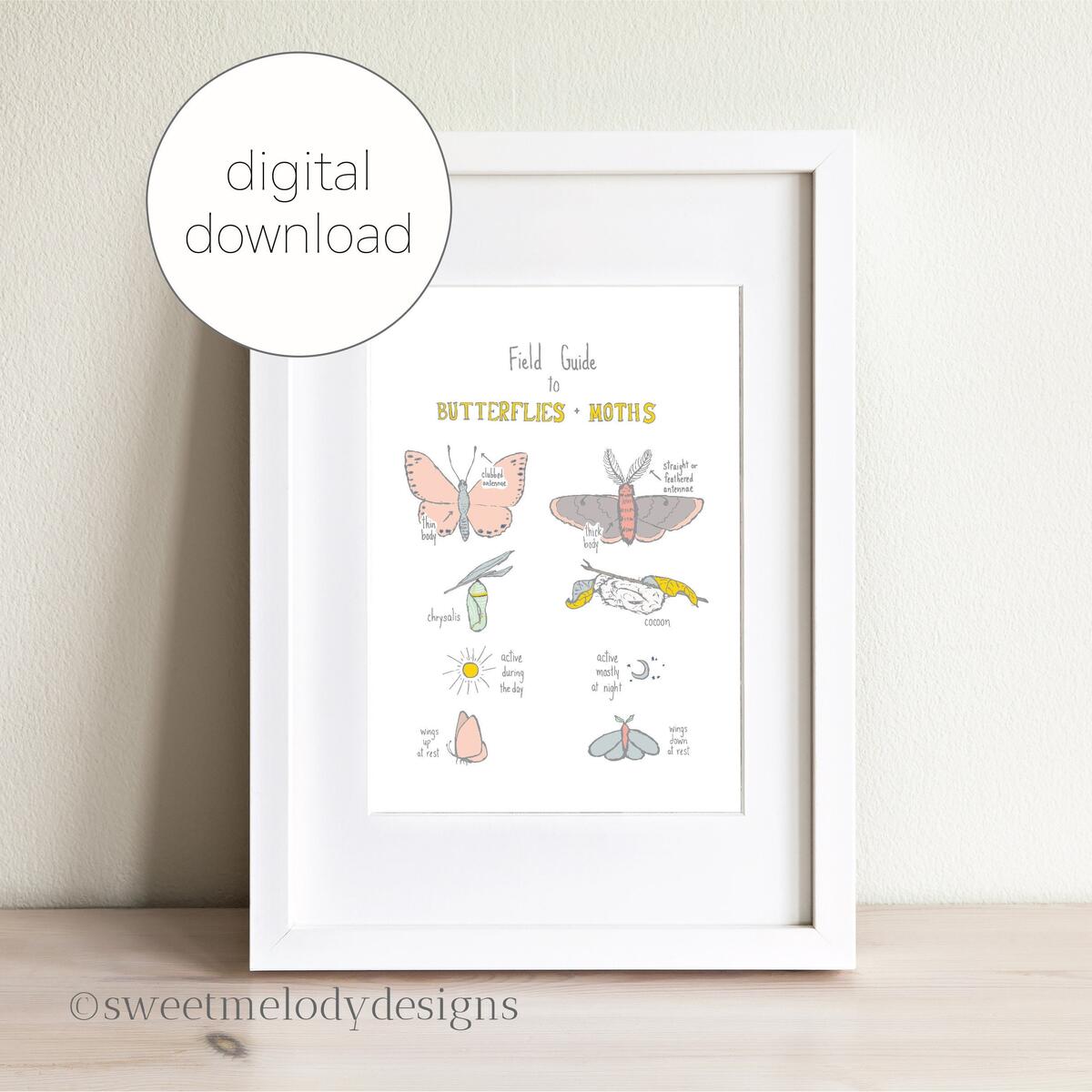 Butterfly And Moth Nature Study Printable Art Digital Download Homeschool Science Educational Resource Kids Bug Chart Etsy UK