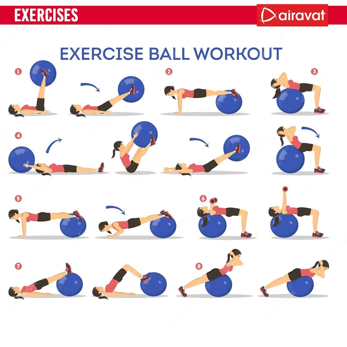 Buy Exercise Ball Workout Chart 2026