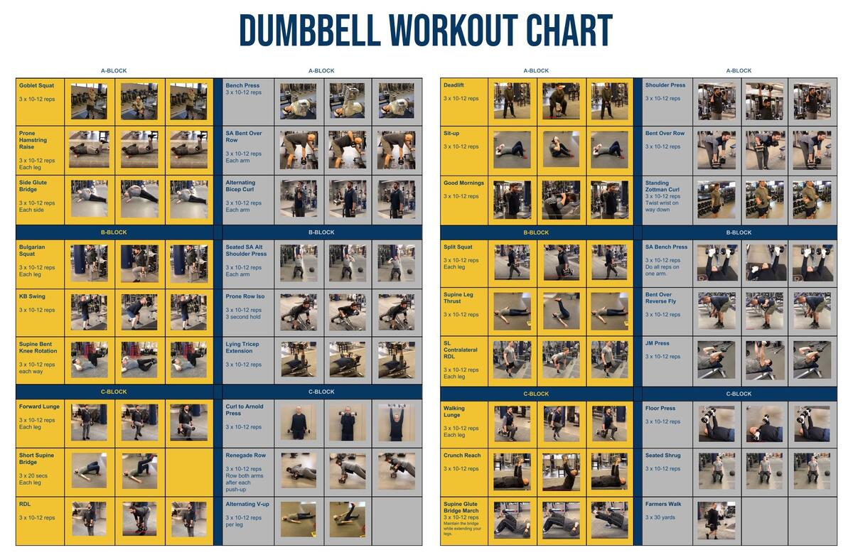 Challenge Bowflex 552 Workout Routine Workout Chart Bowflex Bicep Exercises Bowflex Dumbbell Workout