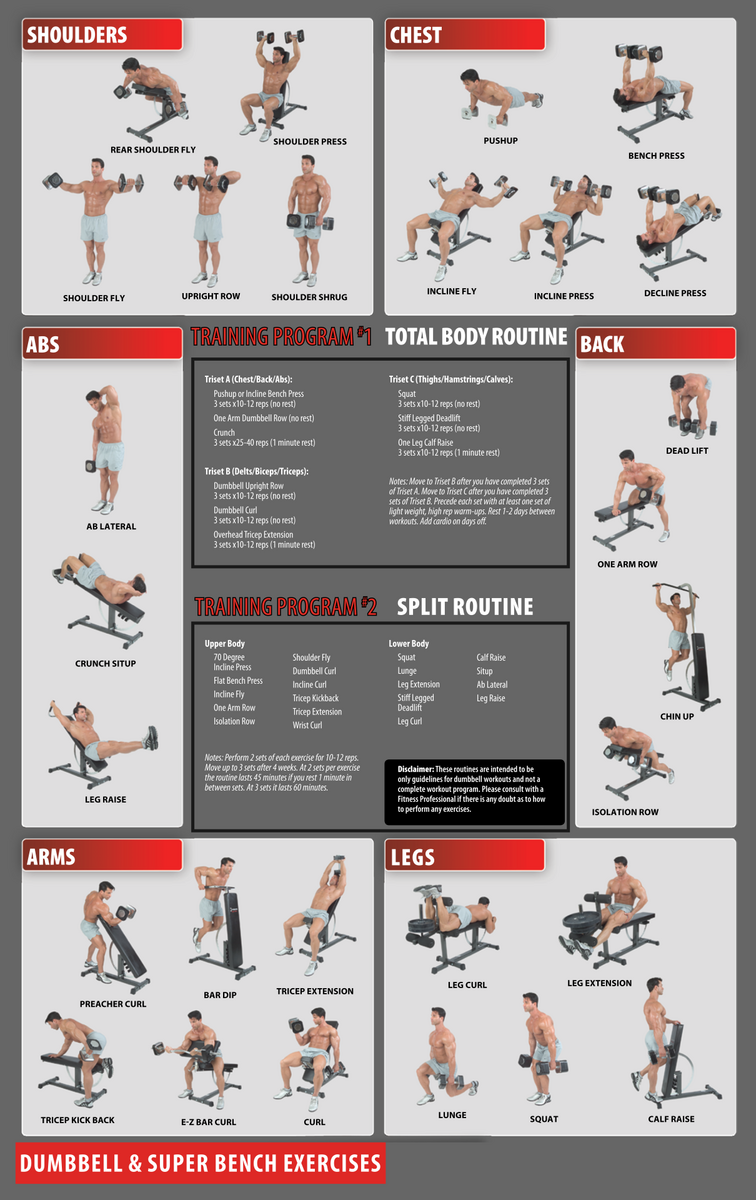 Chart All Workout Names With Pictures Dumbbell And Barbell Home Workout Plan Gym Workout Chart