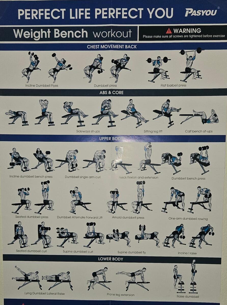 Chart Flat Bench Workouts Bench Chest And Abs Dumbbell Workout Chest Workout Chart Step By