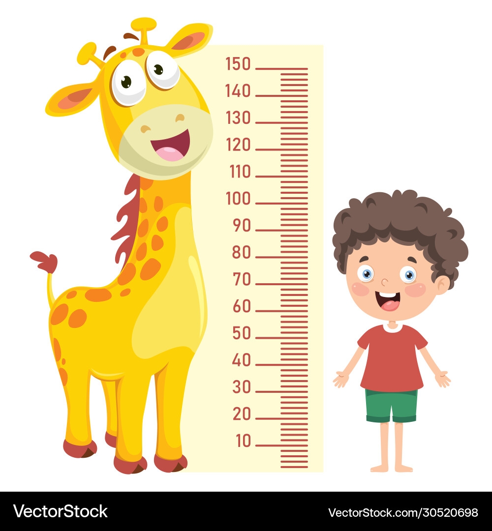 Child Height Chart Measurement Tool Royalty Free Vector VectorStock Child Height Chart Measurement Tool Royalty Free Vector VectorStock