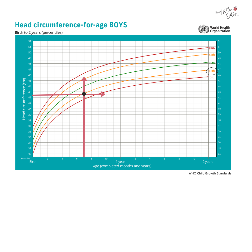 Complete Guide For Understanding Baby Growth Charts In The First Year