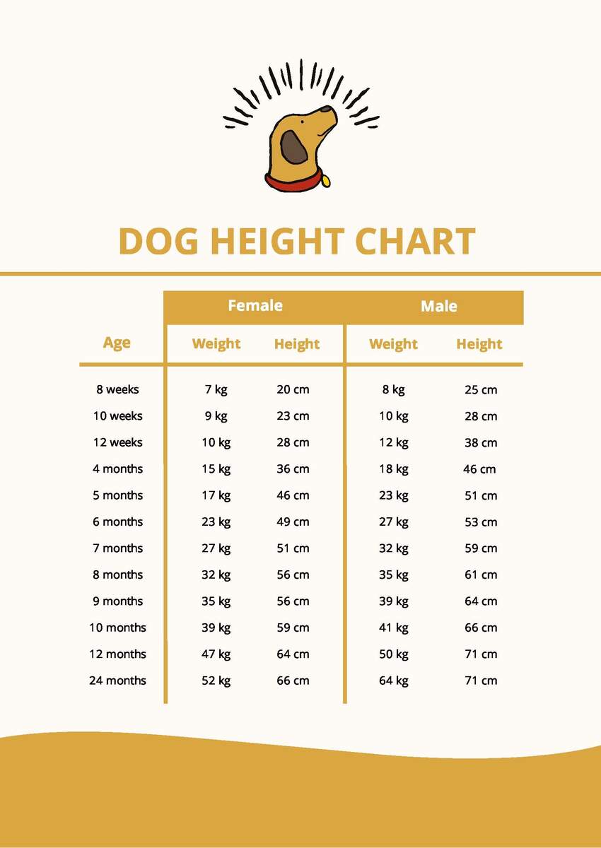 Dog Height Chart In PDF Download Template Dog Height Chart In PDF Download Template