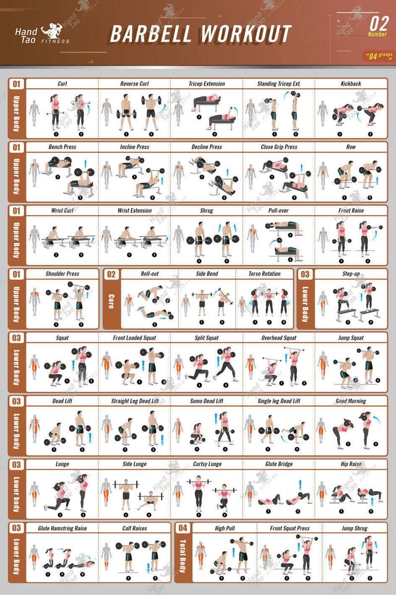 Dumbbell Workout Workout Chart Multi Exercise Home Gym 24x36inch Bodybuilding Barbell Workout Guide Poster For Gym Dumbbell Workout Workout Chart Multi Exercise Home Gym 24x36inch Bodybuilding Barbell Workout Guide Poster For Gym