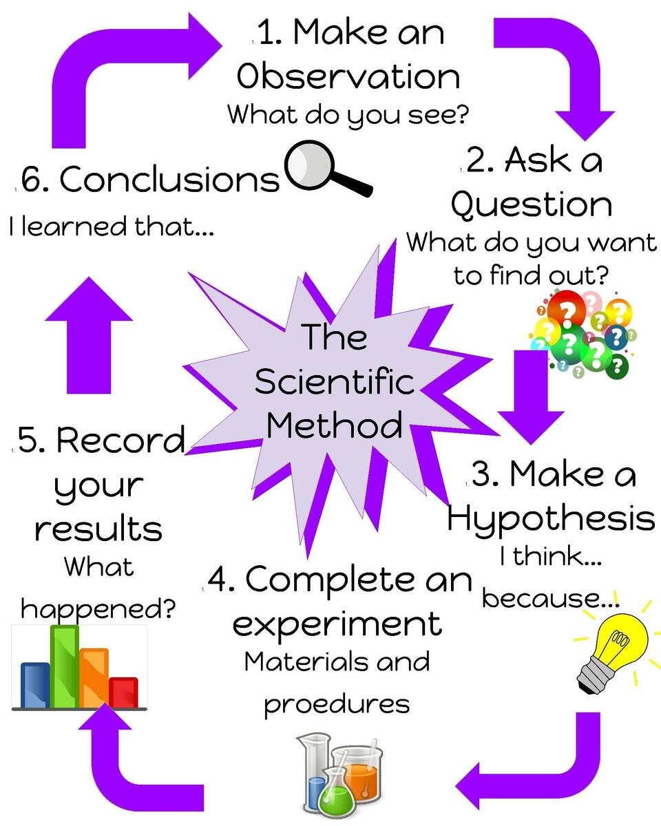 Elementary Science Anchor Chart Scientific Method By Wightman S Anchor Charts Psychology Scientific Method Anchor Chart Scientific Method Anchor Chart S