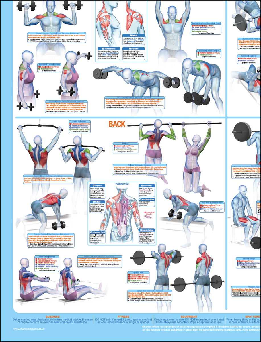 Exercise Home Workouts For Men At Home Best Exercises To Get Stronger Arms At Home Arm