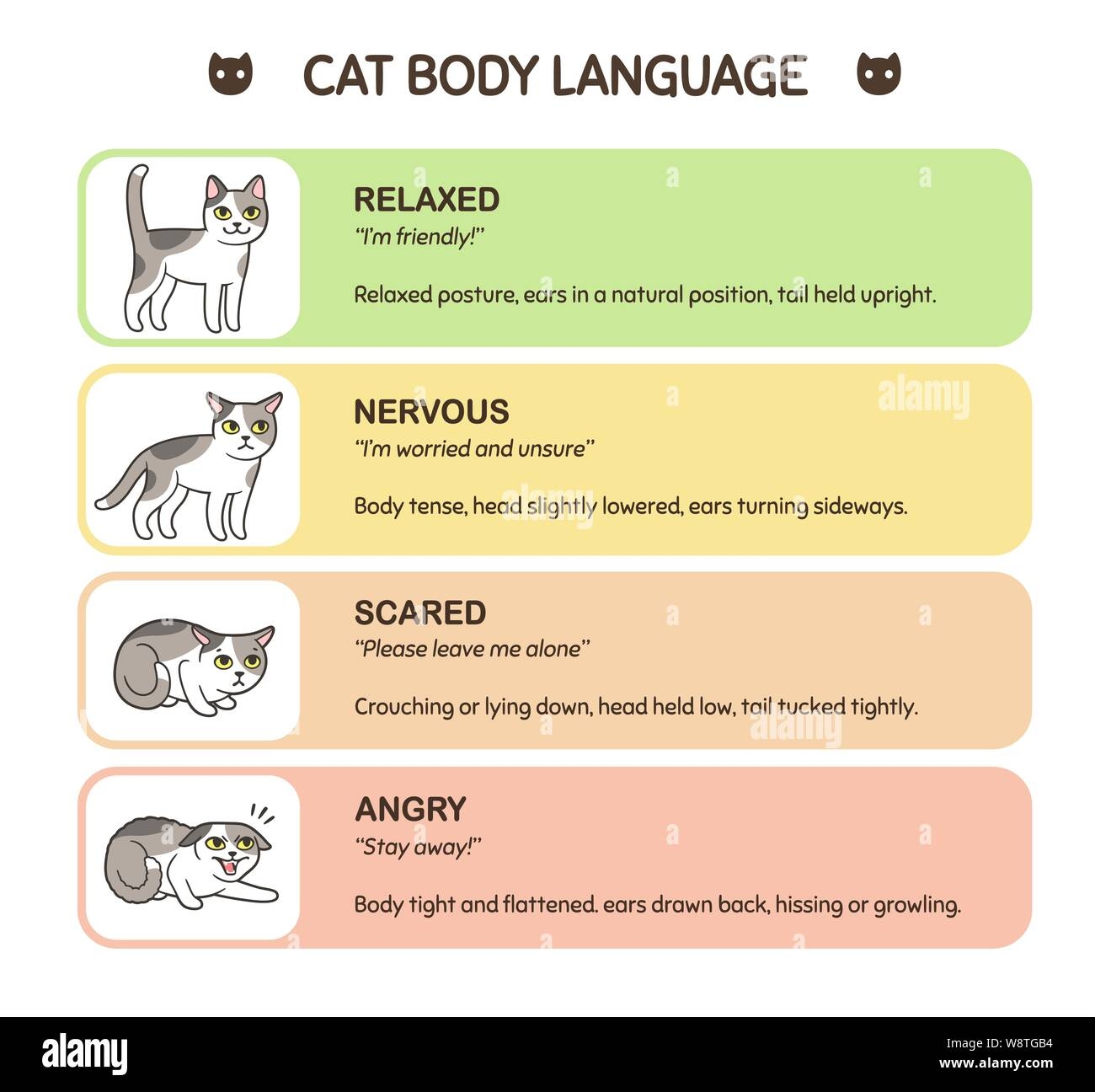 Feline Body Language Educational Infographic Chart Cat Poses Mean Different Emotions Scared Angry Nervous And Friendly Cute Cartoon Vector Illust Stock Vector Image Art Alamy Feline Body Language Educational Infographic Chart Cat Poses Mean Different Emotions Scared Angry Nervous And Friendly Cute Cartoon Vector Illust Stock Vector Image Art Alamy
