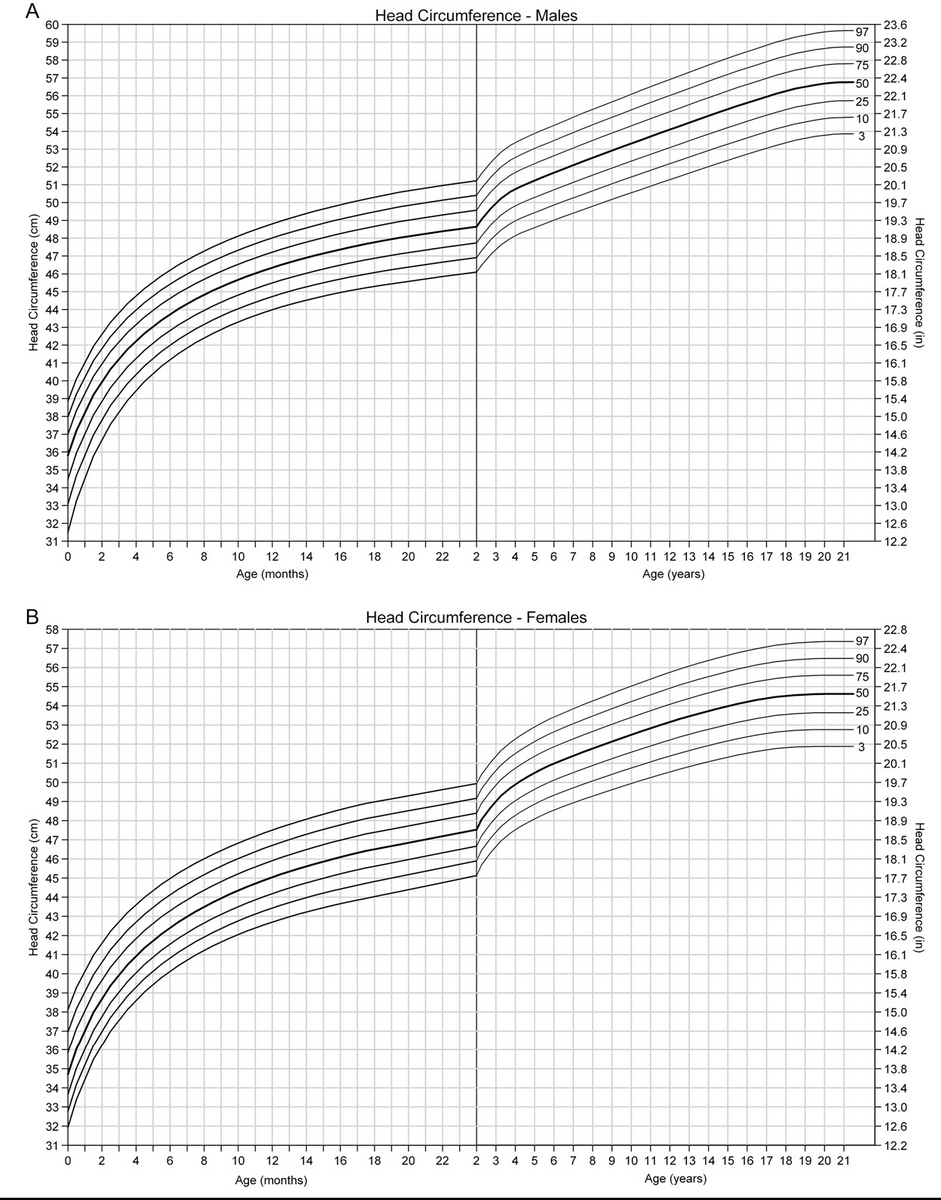 Figure 4 From United States Head Circumference Growth Reference Charts Birth To 21 Years Semantic Scholar Figure 4 From United States Head Circumference Growth Reference Charts Birth To 21 Years Semantic Scholar