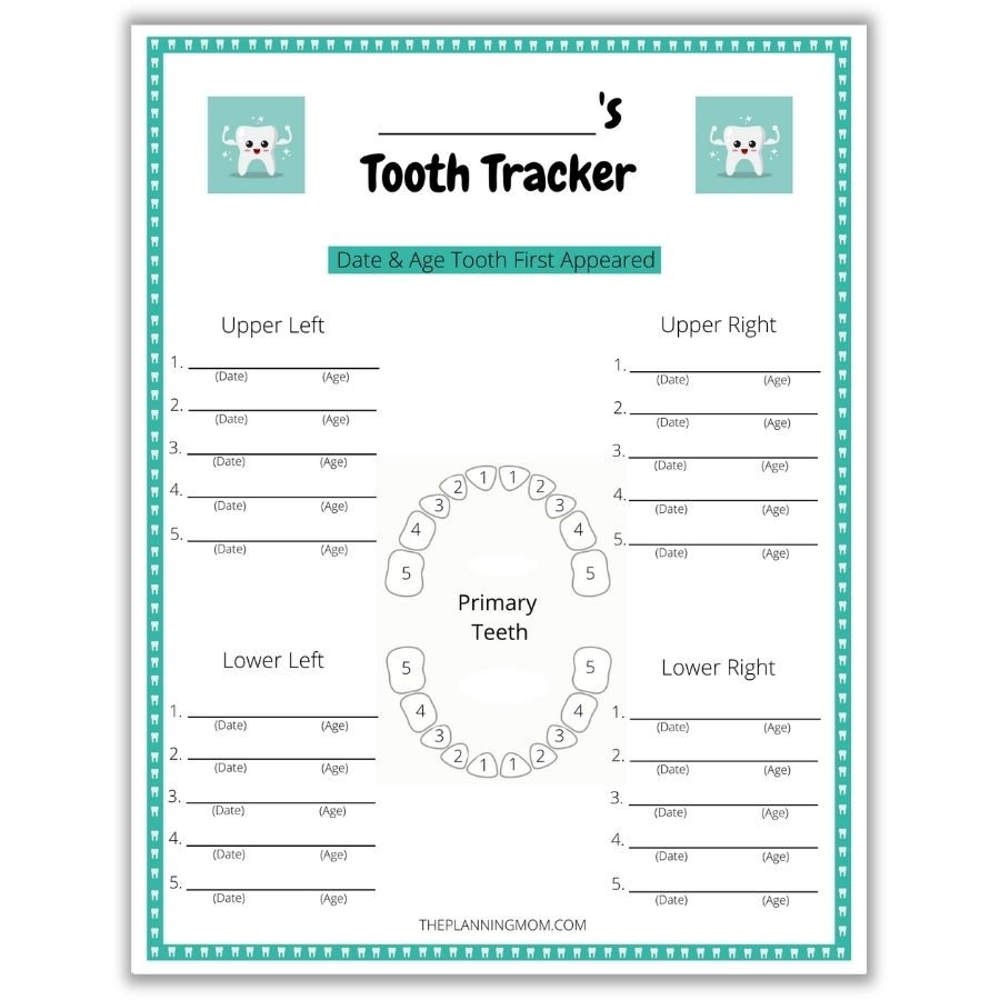 Tooth Chart Full Sheet 15 Free PDF Printables Printablee