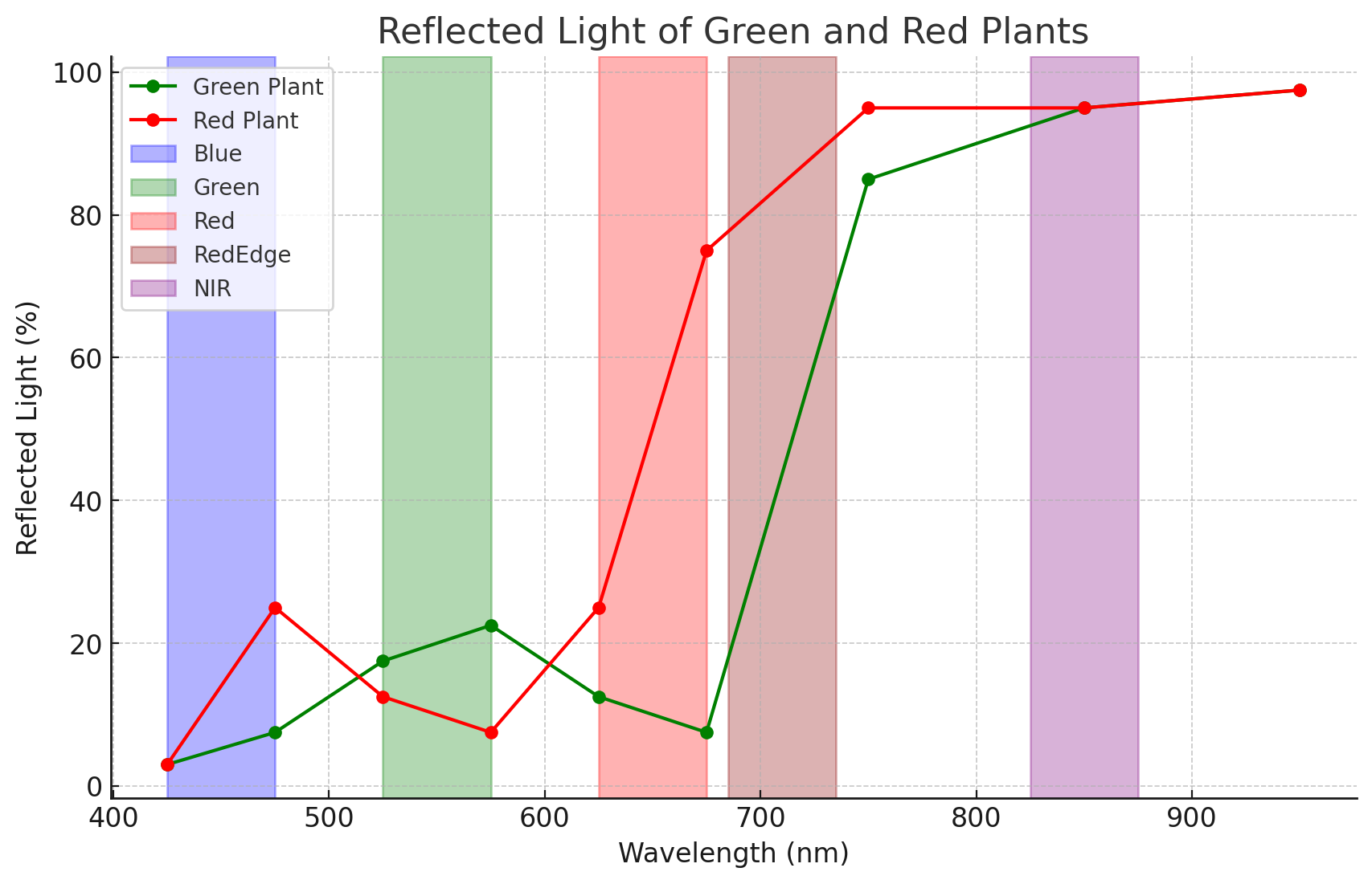 Isolating Red Leaf Pigments With Multispectral Imagery Agriculture Pix4D Community