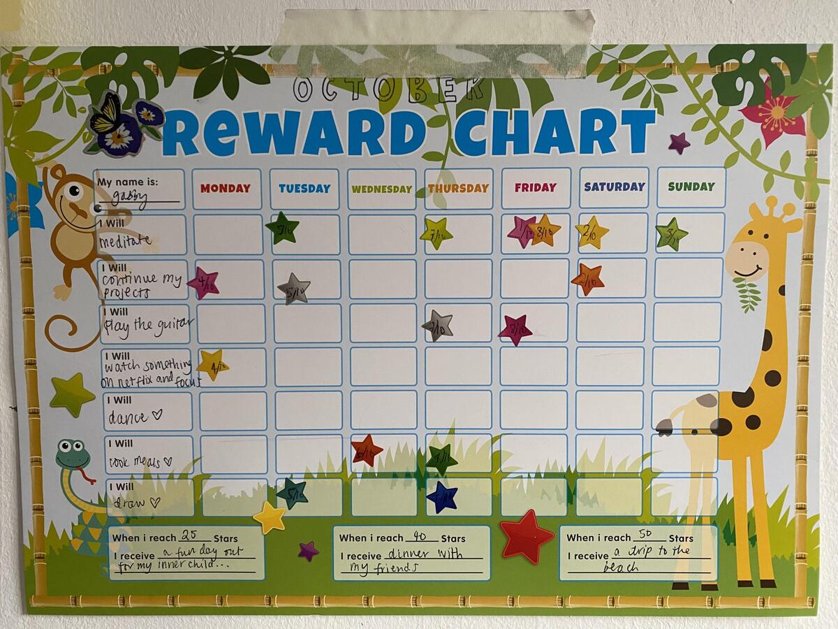 My Reward Chart Method Helps Me So Much It S Already Hard Doing Tasks With ADHD I Want To Take Care Of My Mental Health And Function Daily With The Daily Shit I