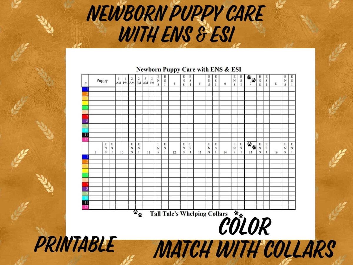 Customizable Puppy Weight Chart For Tracking Your Fur Baby S Growth Adorable Puppy Weight Chart Monitor Your Pup S Progress With Ease Etsy
