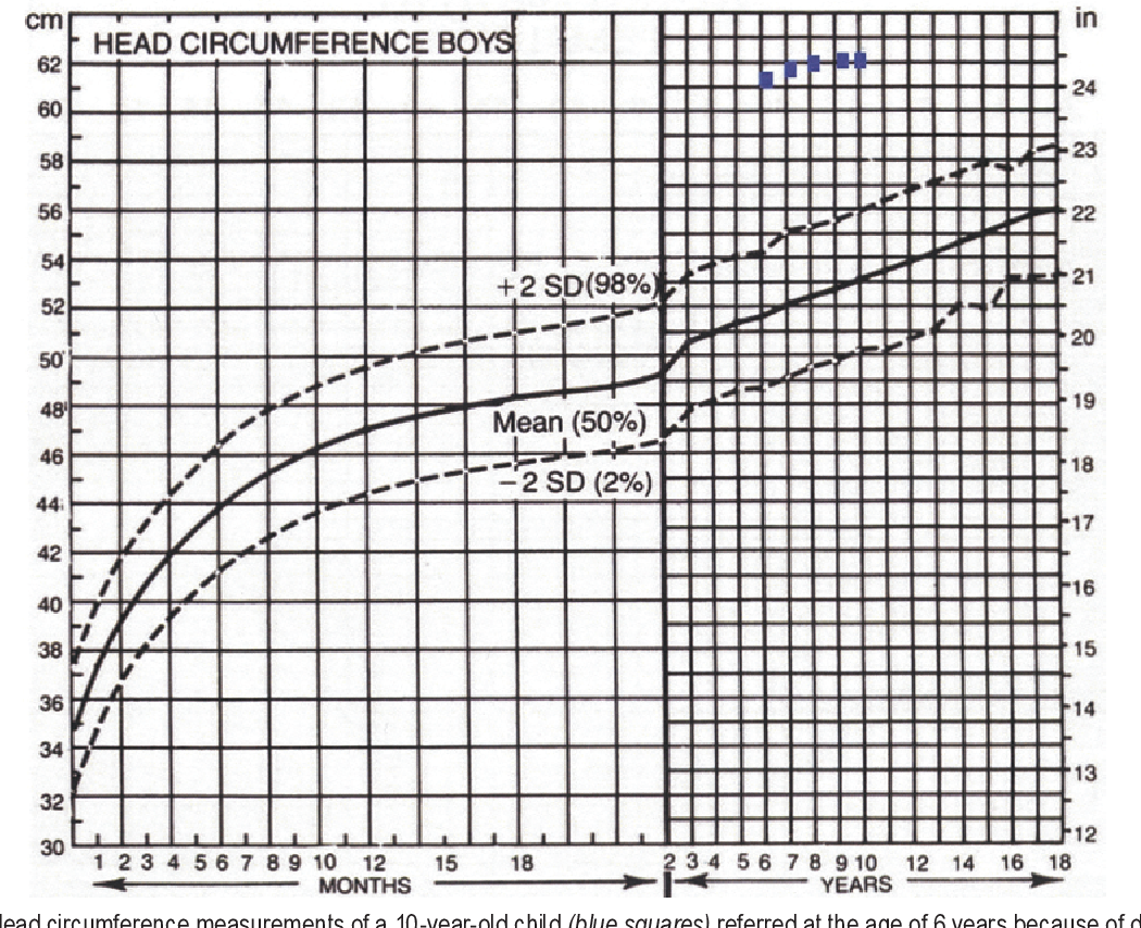 PDF The Value Of Head Circumference Measurements After 36 Months Of Age A Clinical Report And Review Of Practice Patterns Semantic Scholar PDF The Value Of Head Circumference Measurements After 36 Months Of Age A Clinical Report And Review Of Practice Patterns Semantic Scholar