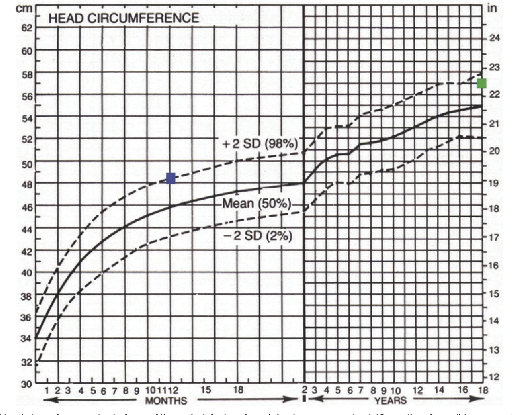 PDF The Value Of Head Circumference Measurements After 36 Months Of Age A Clinical Report And Review Of Practice Patterns Semantic Scholar