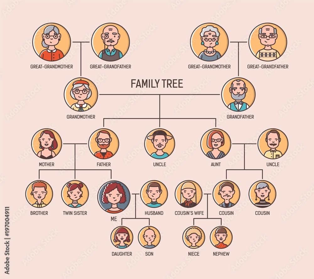 Pedigree Or Ancestry Chart Template With Portraits Of Men And Women In Round Frames Visualization Of Links Between Ancestors And Descendants Family Members Modern Colorful Vector Illustration Adobe