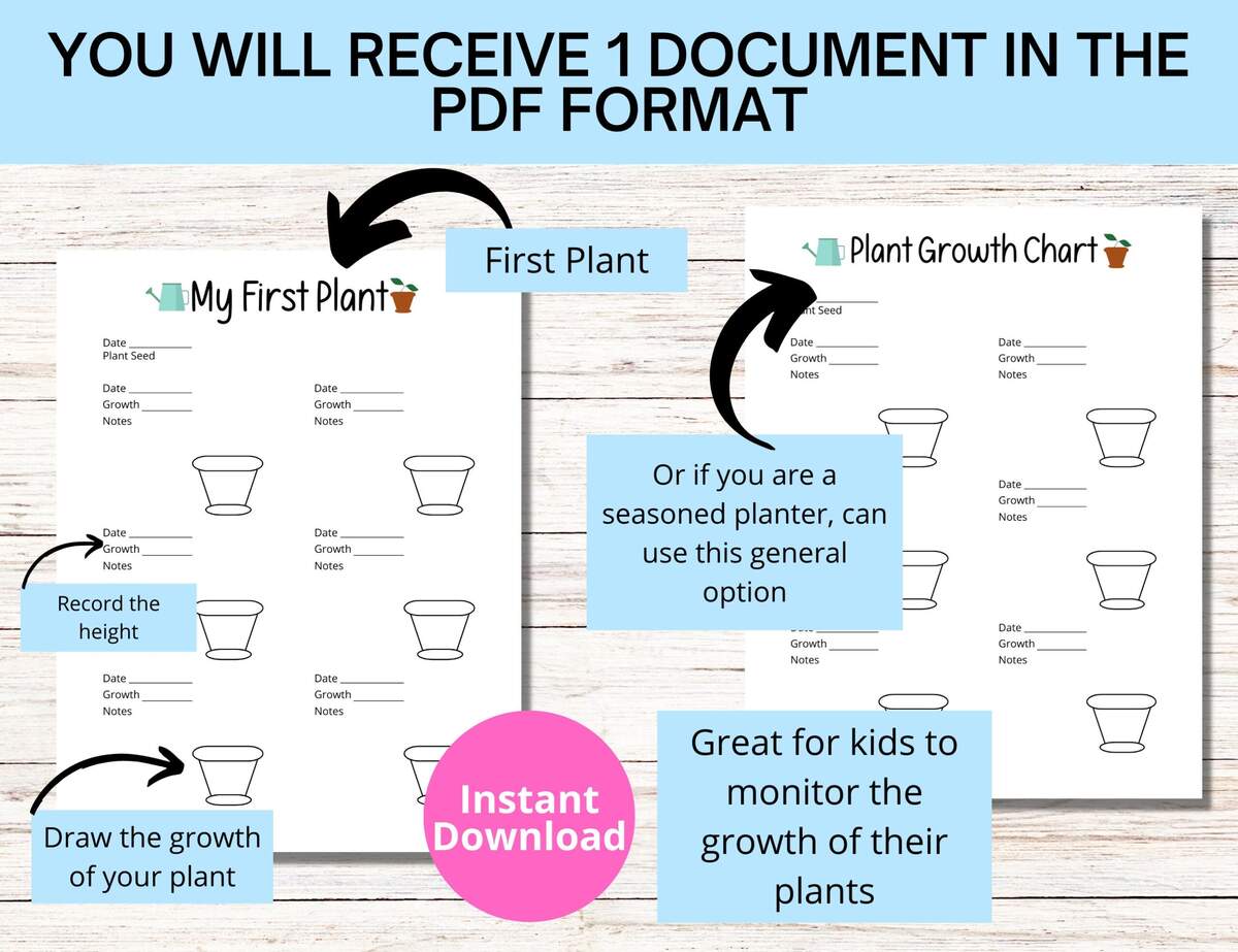 Plant Growth Chart For Kids First Plant Log US Letter PDF Etsy Australia