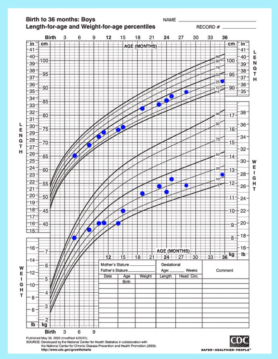 Plotted CDC Charts For Maximo S Height Weight And Head Circumference Plotted CDC Charts For Maximo S Height Weight And Head Circumference