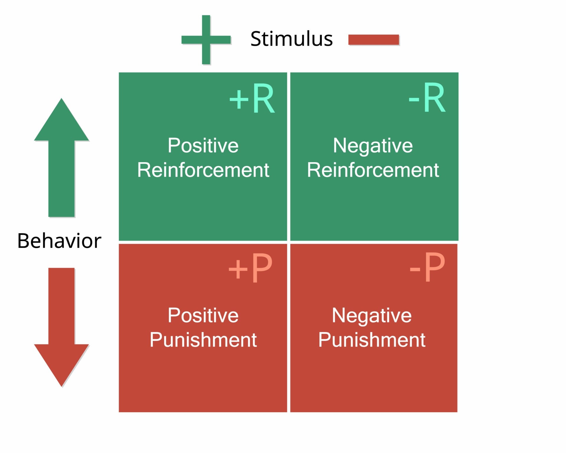 Positive Reinforcement What Is It And How Does It Work