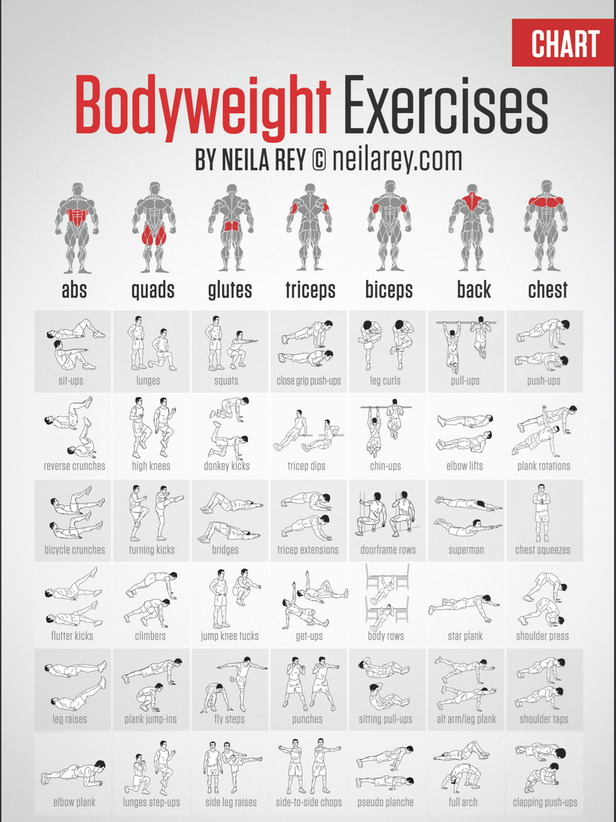 Printable 100 Bodyweight Workouts Top Free Multi Gym Exercises Chart Pdf Online