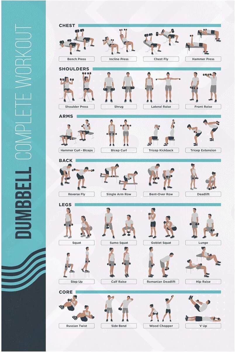 Printable Dumbbell Barbell Workout Dumbbell Workout Chart Printable Pdf Barbell Workout Plan Pdf Sales