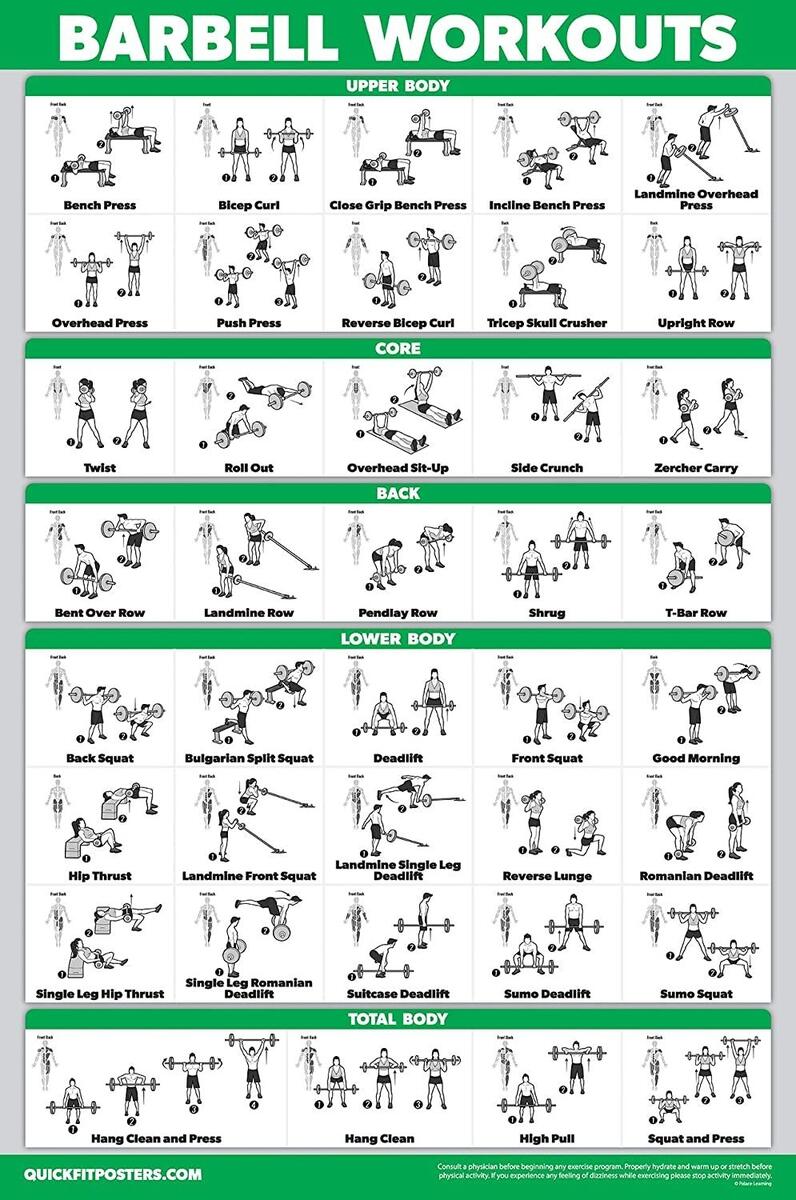 QUICKFIT Barbell Workout Exercise Poster Laminated 18in X 24in For Kids Room