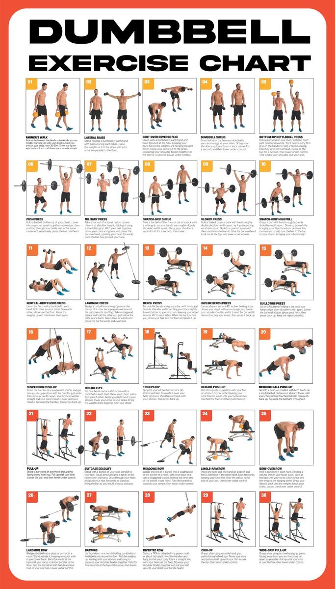 Strength Training Biceps Dumbbell Exercises Chart Chart Dumbbell Training Exercises Chart Upper Arm Dumbbell