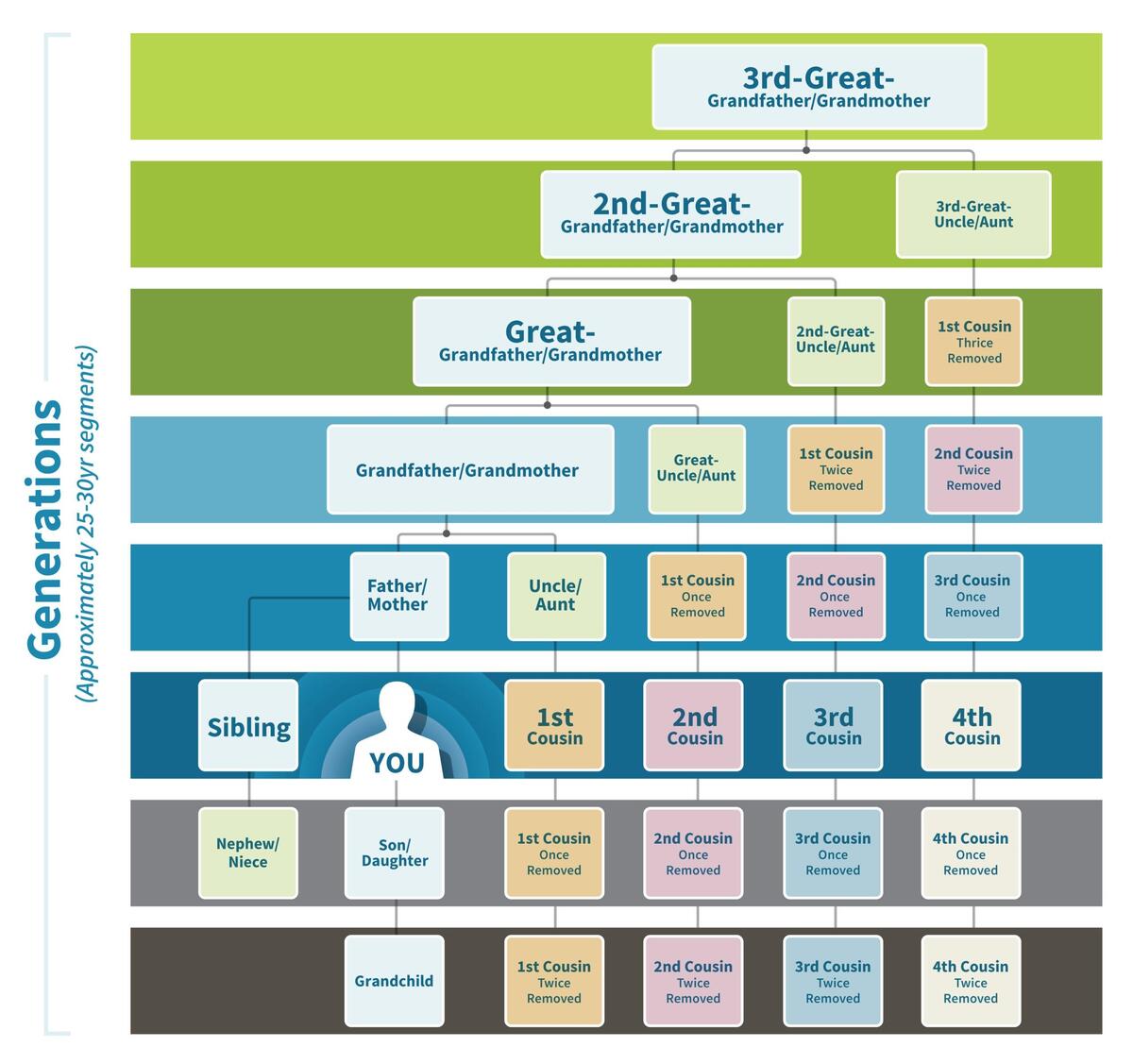 How To Make A Family Tree Diagram Examples Venngage