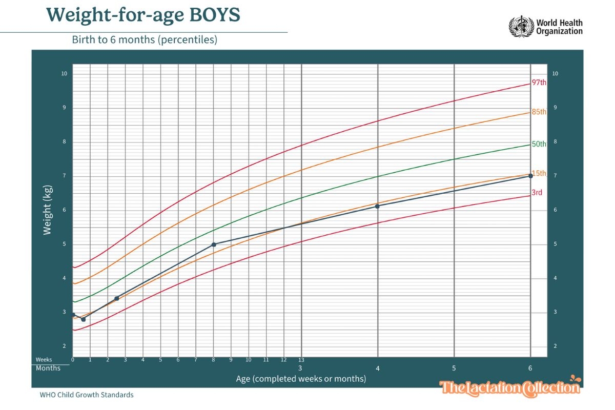 Understanding Your Baby S Weight Gain In The First Year The Lactation Collection