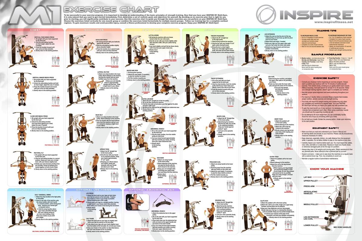 Band Workout Free Multi Gym Exercises Chart Pdf Chart Pdf Weider 2980 Workout Plan Bench Multi