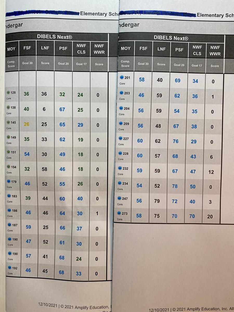 Video 100 At Above Level On Middle Of The Year DIBELS Testing