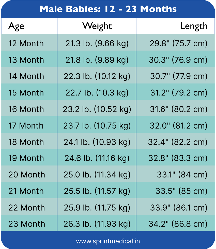 Weight Chart For Kids Understanding Baby Weight Charts Sprint Medical Weight Chart For Kids Understanding Baby Weight Charts Sprint Medical