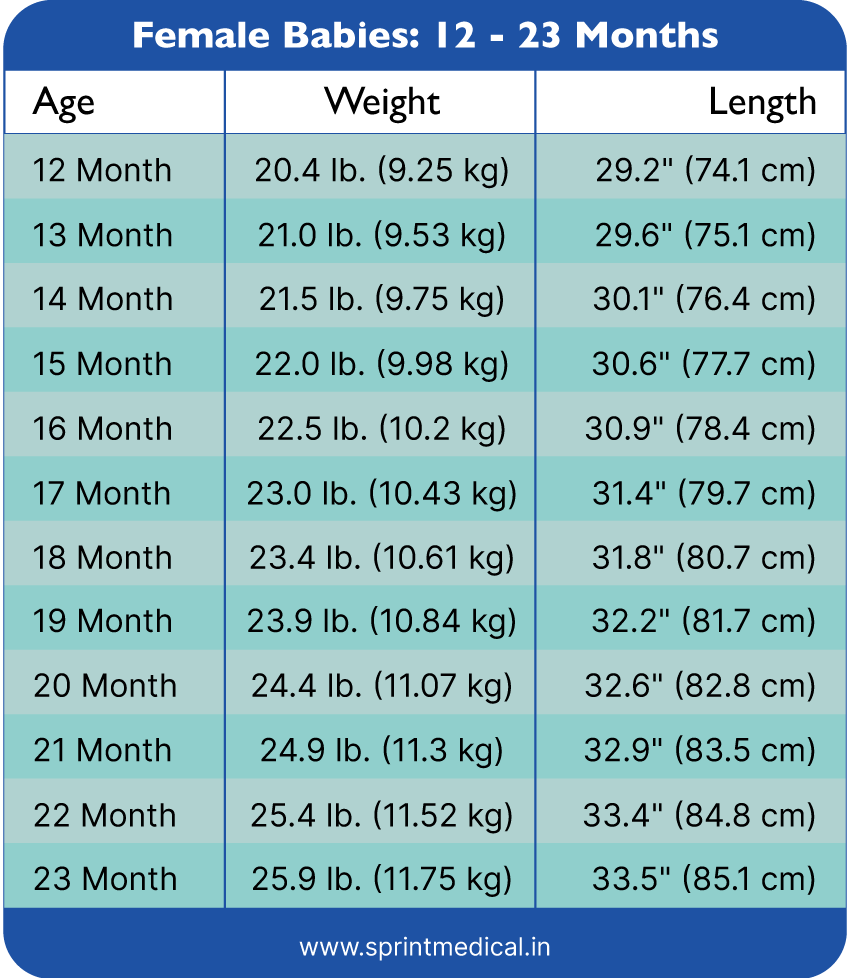 Weight Chart For Kids Understanding Baby Weight Charts Sprint Medical