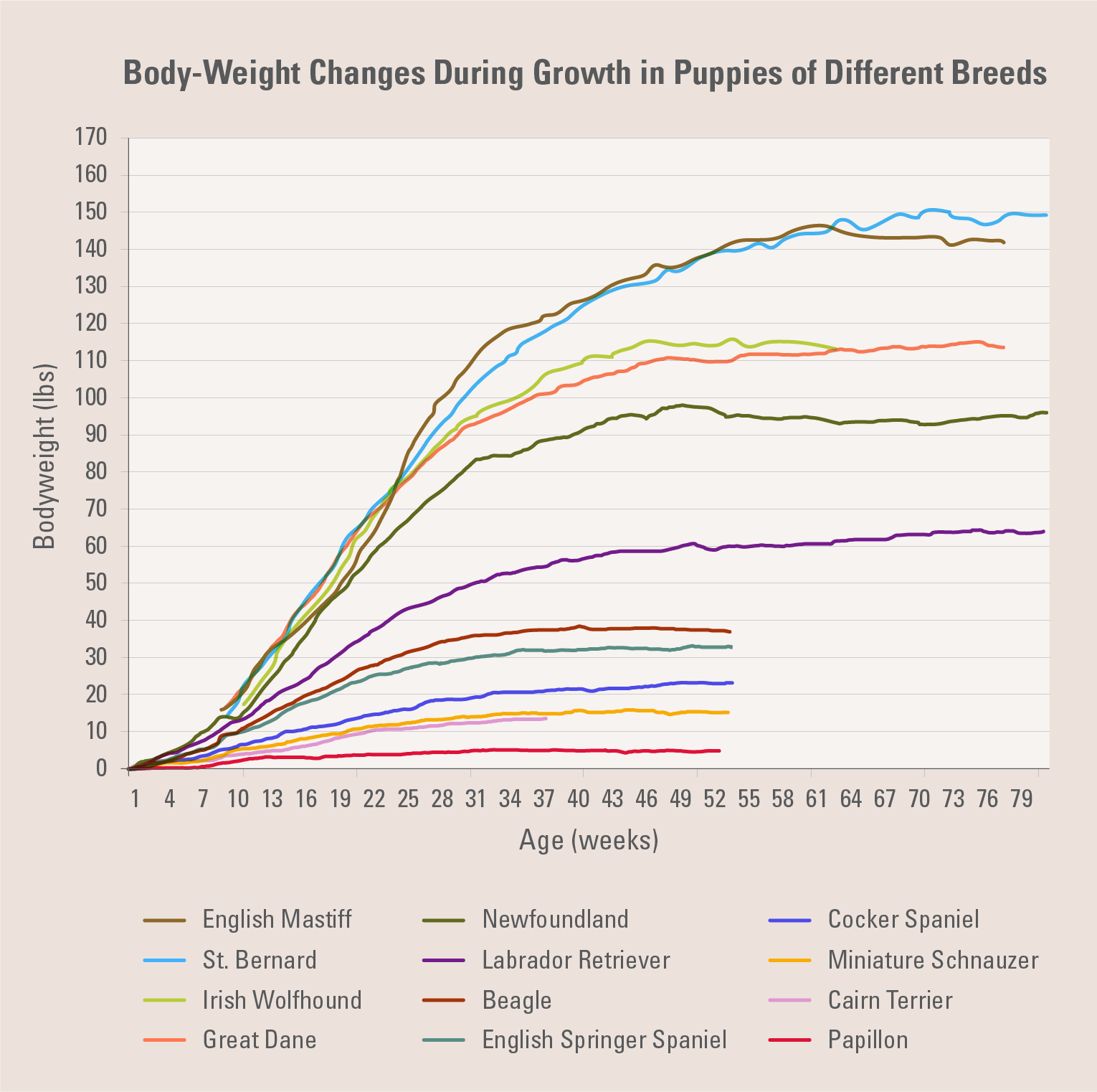 Small Medium Large Breed Growth Chart Small Medium Large Puppy Growth Chart Dog Medium Size Dog