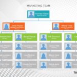 41 Organizational Chart Templates Word Excel PowerPoint PSD