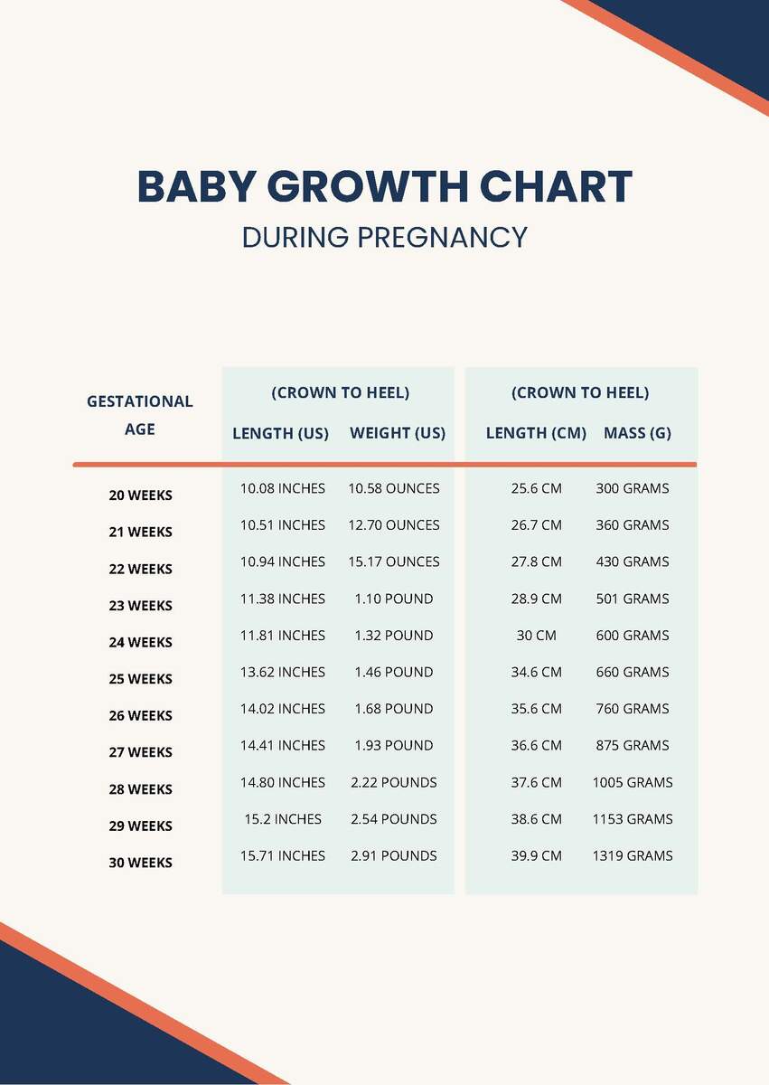 Pregnancy Baby Growth Chart In PDF Download Template
