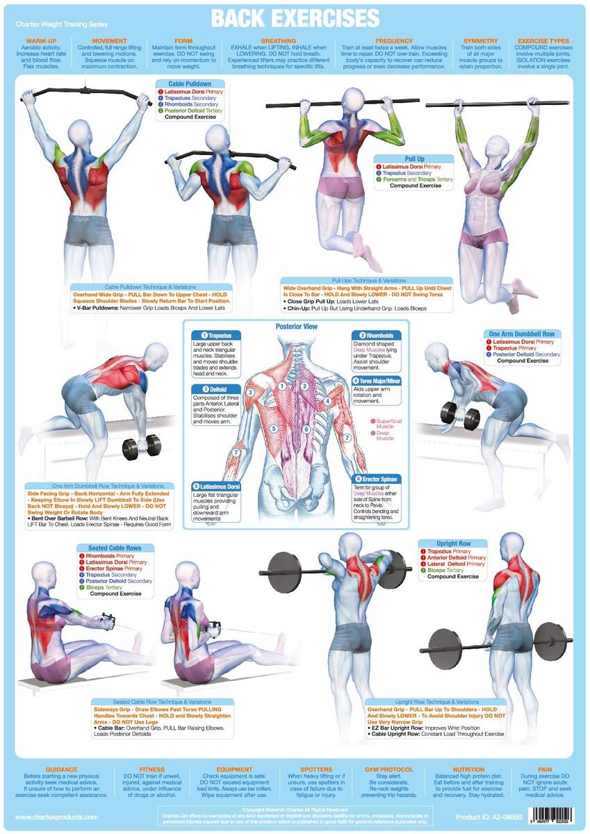 Back Workout Best Bodybuilding Workout Routine Bodybuilding Good Back Workouts Best Back To Gym Workout Best